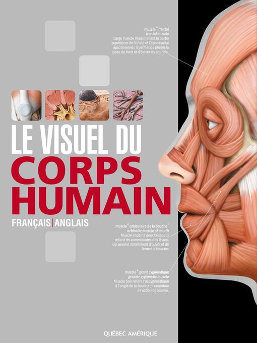 Title details for Le Visuel du corps humain by QA international Collectif - Available